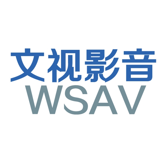 文视LOGO.jpg